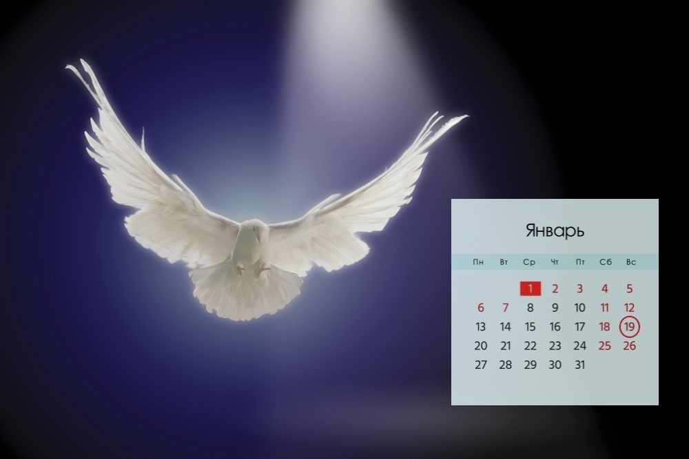 Белый голубь и календарь