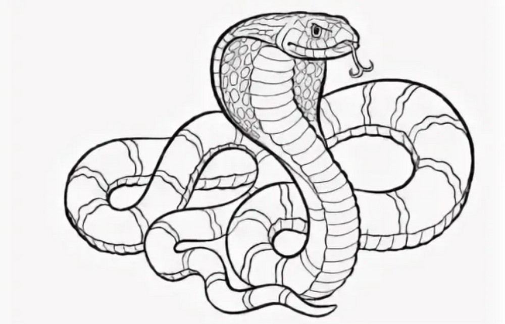 Как нарисовать простую змейку самым маленьким художникам