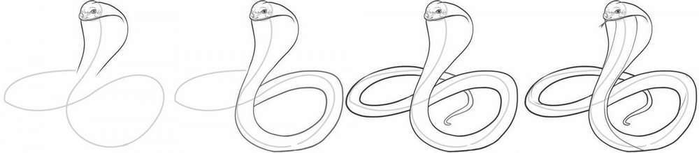 Поэтапное рисование змеи карандашом