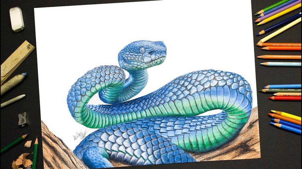 Нарисованная змея и карандаши
