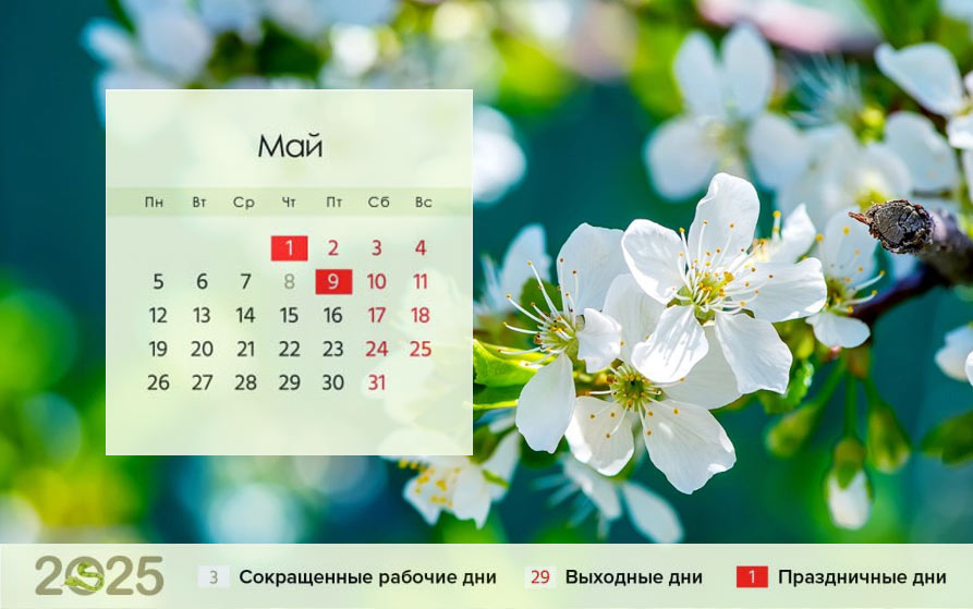 Календарь на май 2025 года