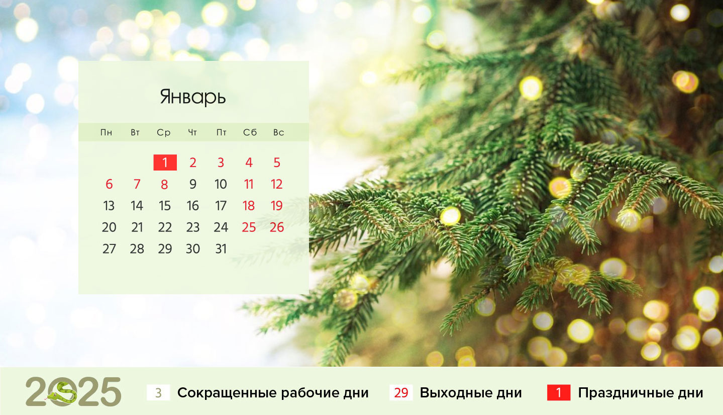 Календарь на январь 2025 года