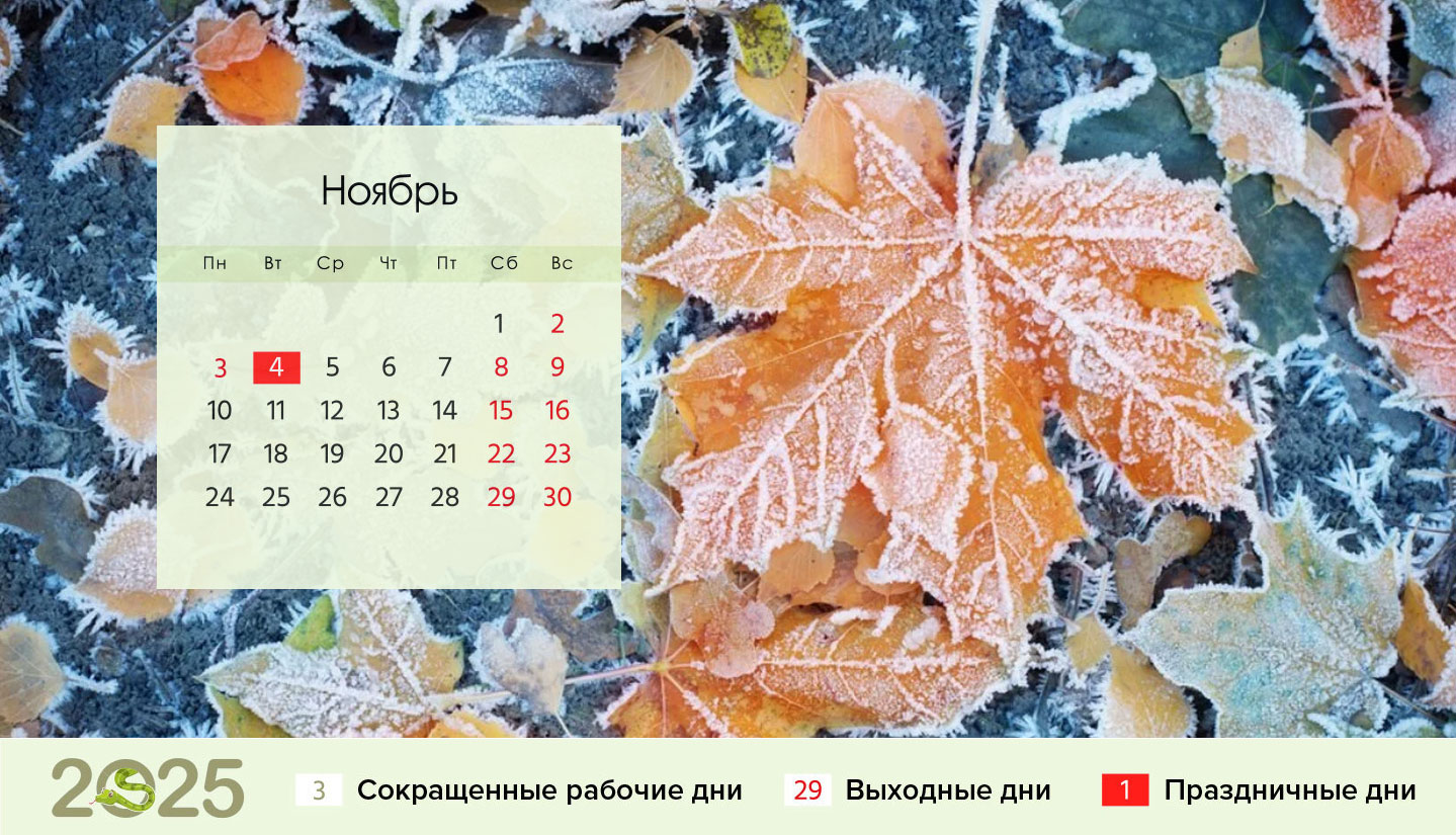 Календарь на ноябрь 2025 года