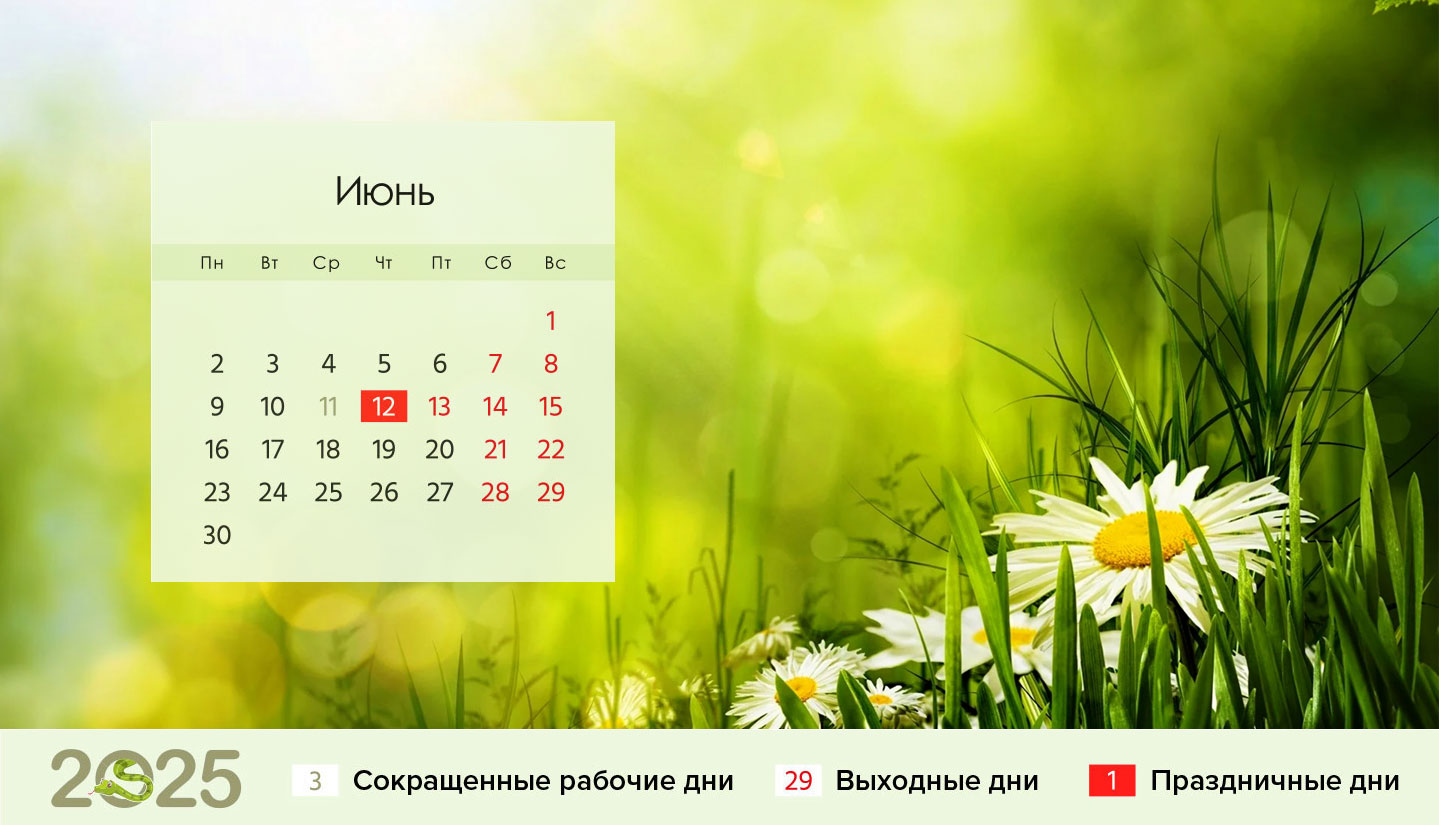 Календарь на июнь 2025 года