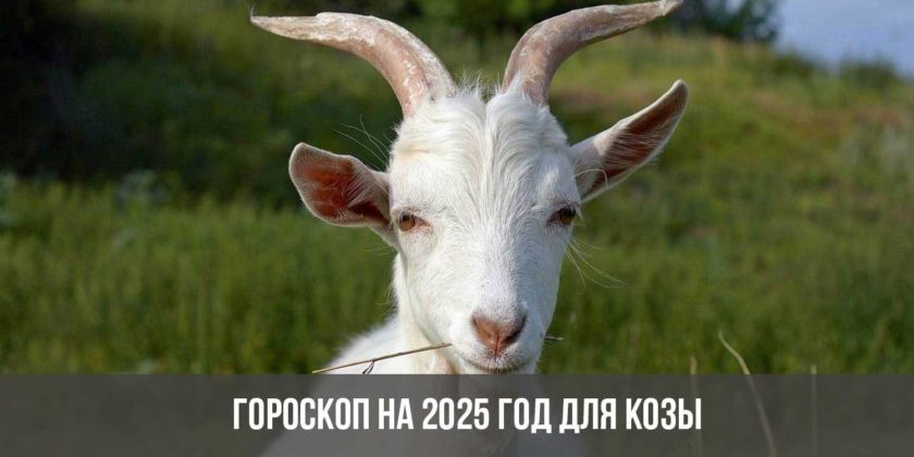 Гороскоп на 2025 год для Козы