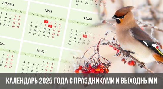 Календарь 2025 года с праздниками и выходными
