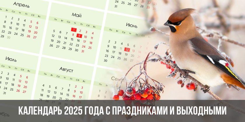 Календарь 2025 года с праздниками и выходными