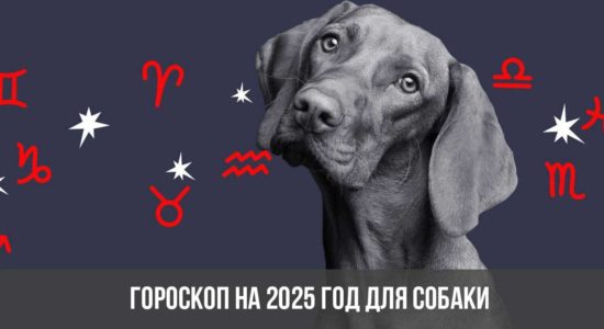 Гороскоп на 2025 год для Собаки