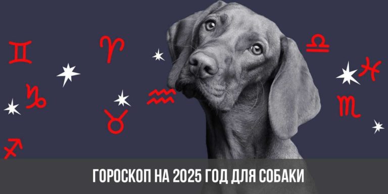 самый точный гороскоп по дате рождения на 2025