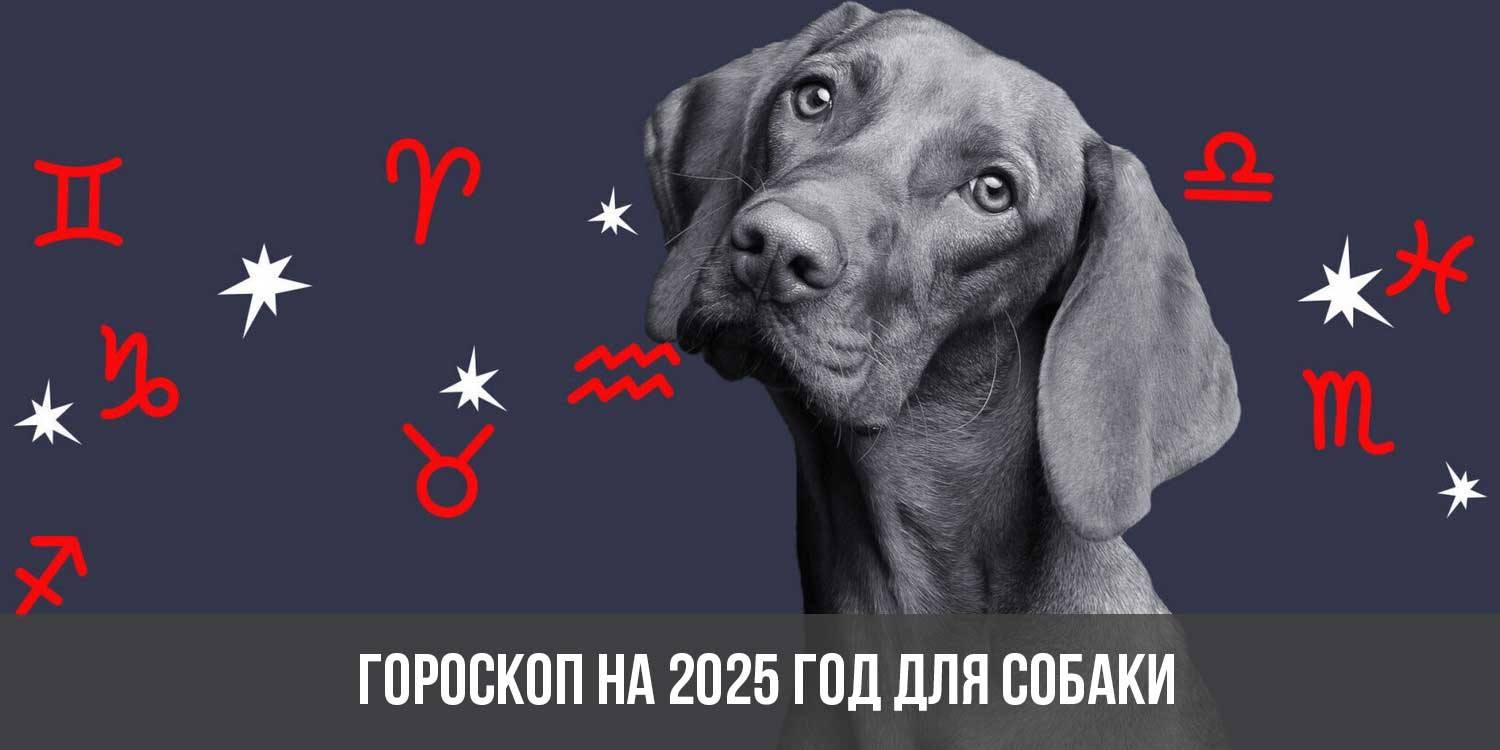 Китайский гороскоп на март 2023 года