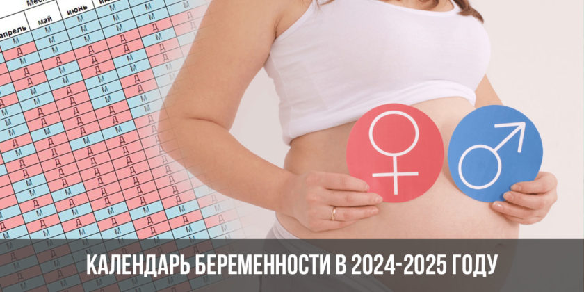 Календарь беременности в 2024-2025 году