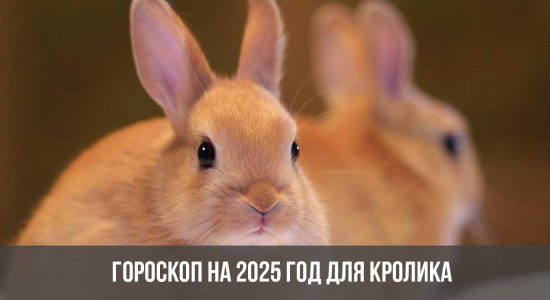 Гороскоп на 2025 год для Кролика