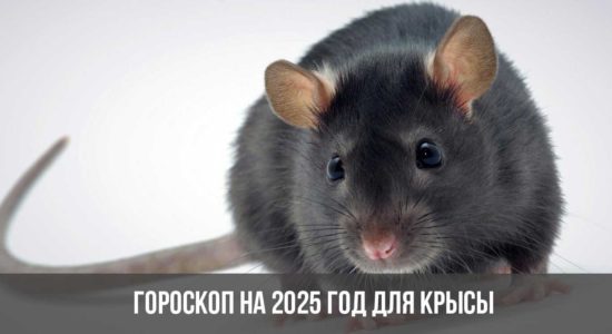 Гороскоп на 2025 год для Крысы