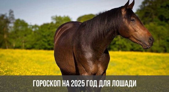 Гороскоп на 2025 год для Лошади