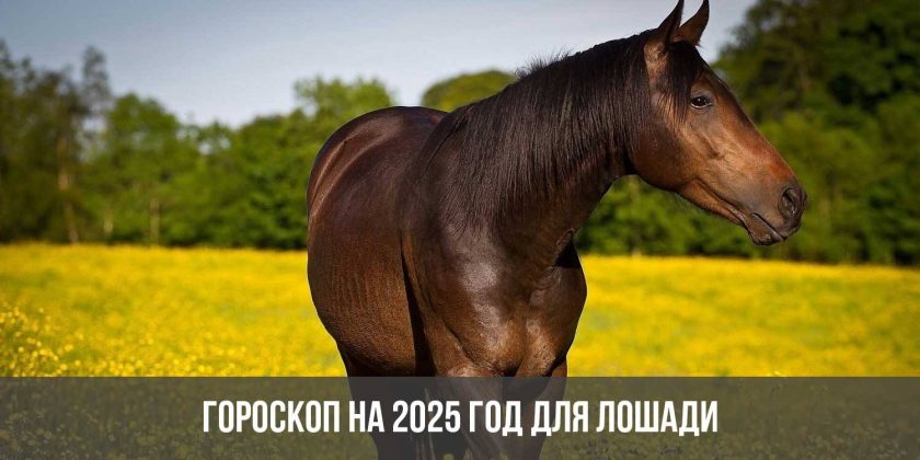 Гороскоп на 2025 год для Лошади