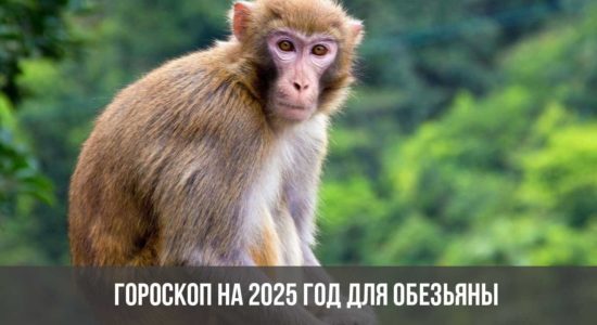 Гороскоп на 2025 год для Обезьяны