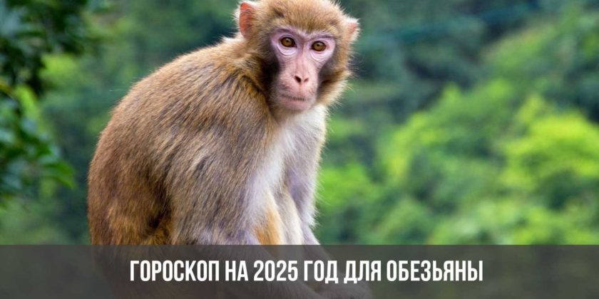 Гороскоп на 2025 год для Обезьяны