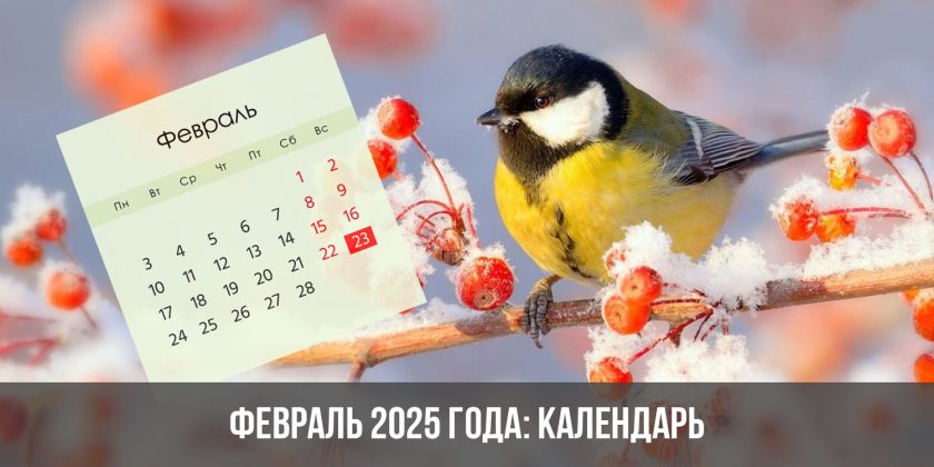Февраль 2025 года: календарь