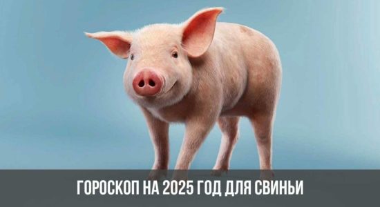 Гороскоп на 2025 год для Свиньи