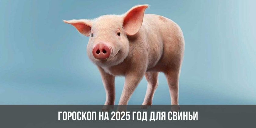 Гороскоп на 2025 год для Свиньи