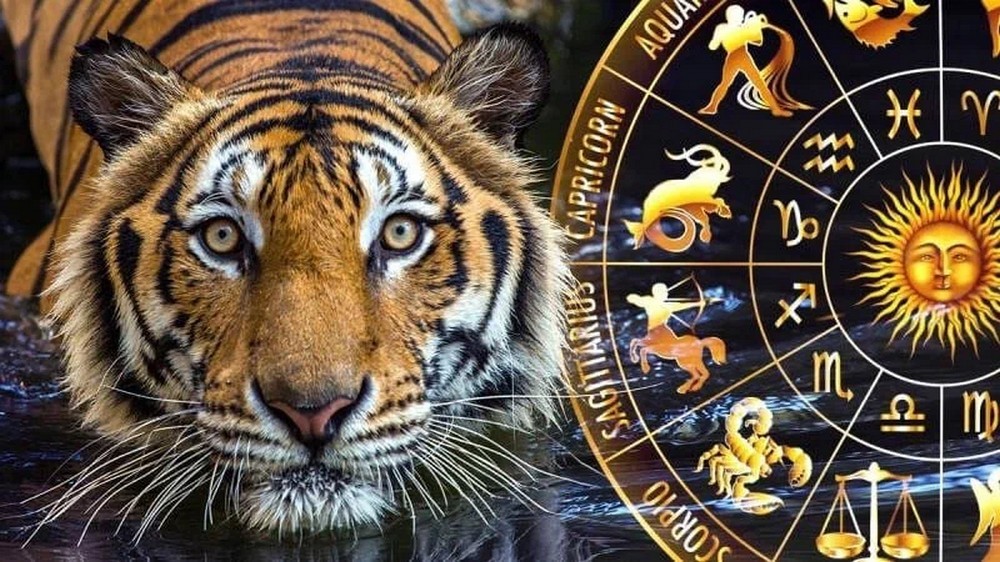 Тигр возле зодиакального круга
