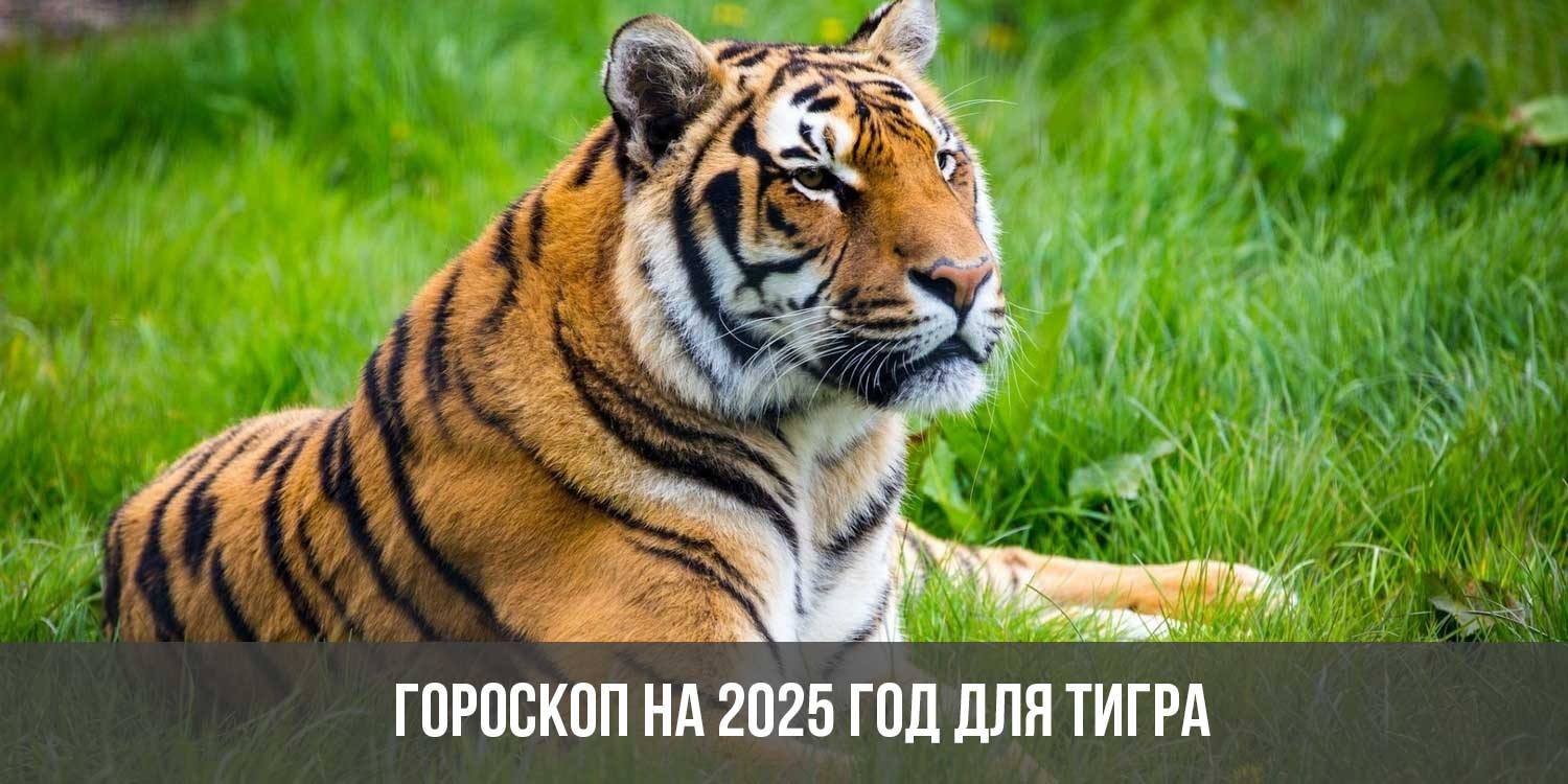 Гороскоп на 2025 год для Тигра: астрологический прогноз для женщин и мужчин