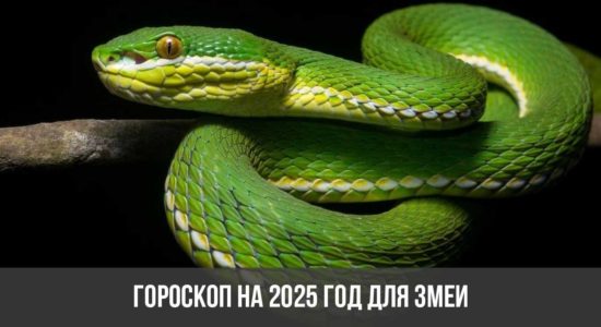 Гороскоп на 2025 год для Змеи