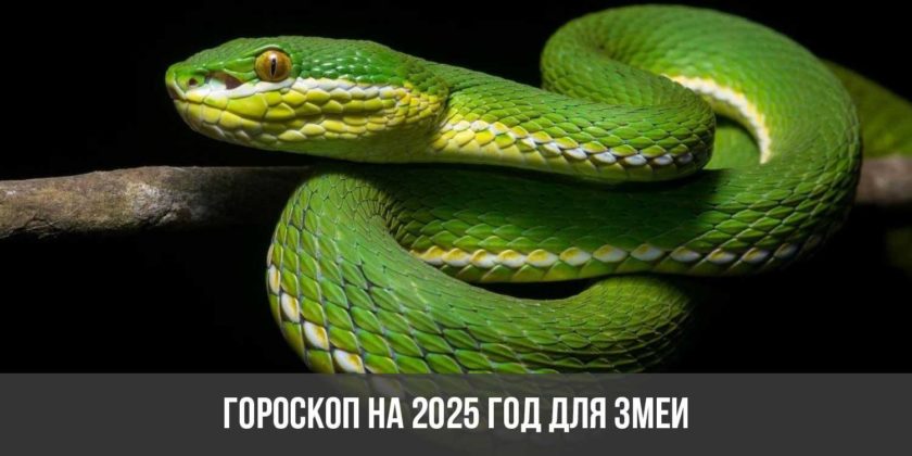 Гороскоп на 2025 год для Змеи