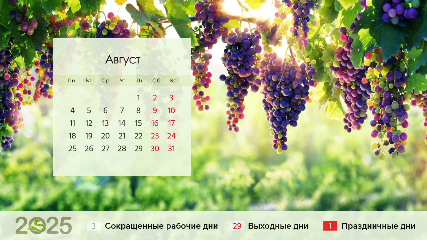 Календарь на август 2025 года для пятидневки