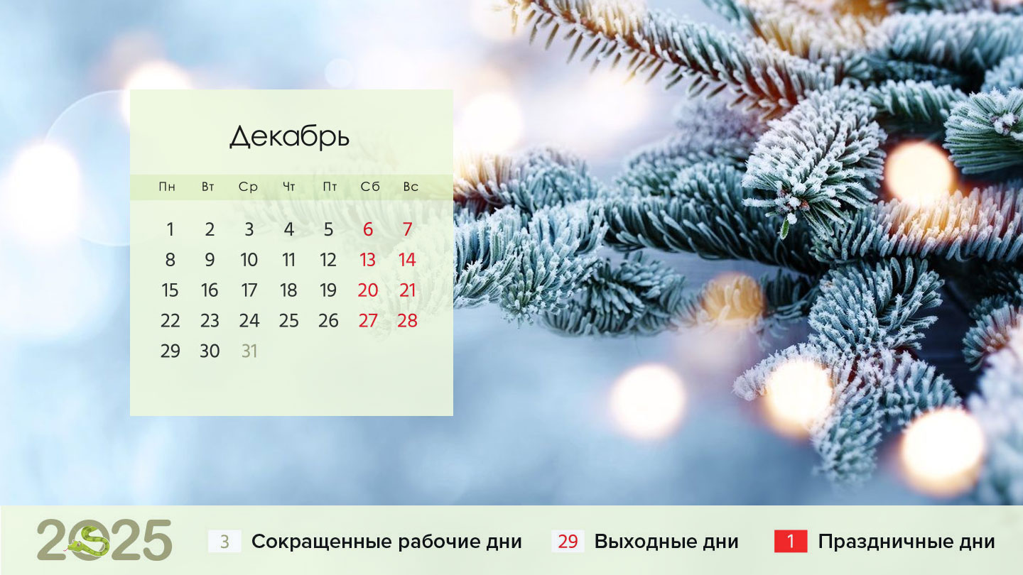 Календарь на декабрь 2024 года для пятидневки