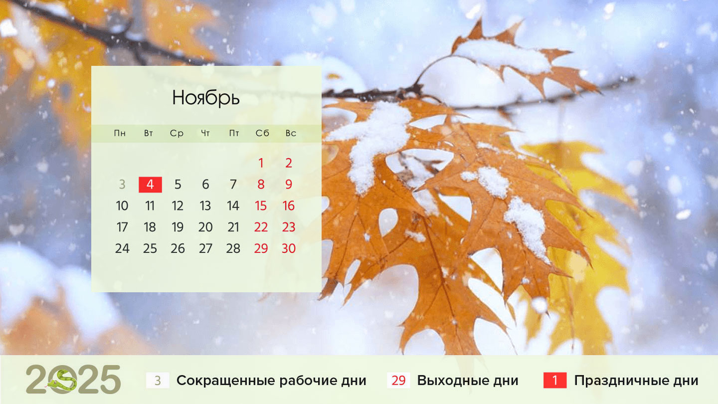 Календарь на ноябрь 2024 года для пятидневки