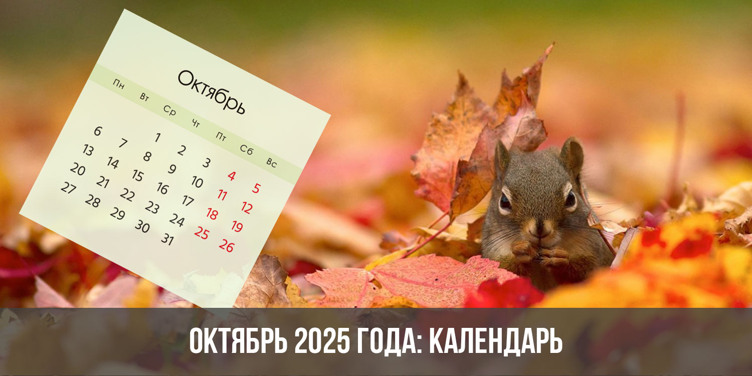 Февраль 2025 год кого. Октябрь 2025. Февраль 2025 календарь. Календарь 2025. Красивый календарь на 2025 год.