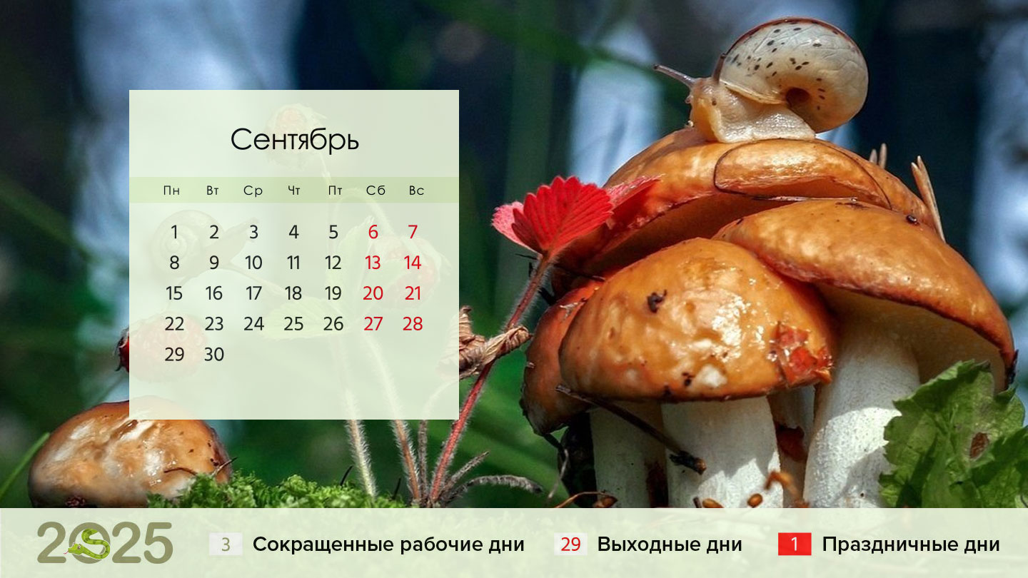 Календарь на сентябрь 2025 год для пятидневки