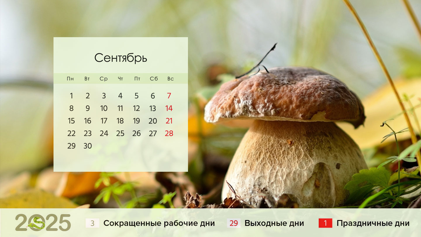 Календарь на сентябрь 2025 год для шестидневки