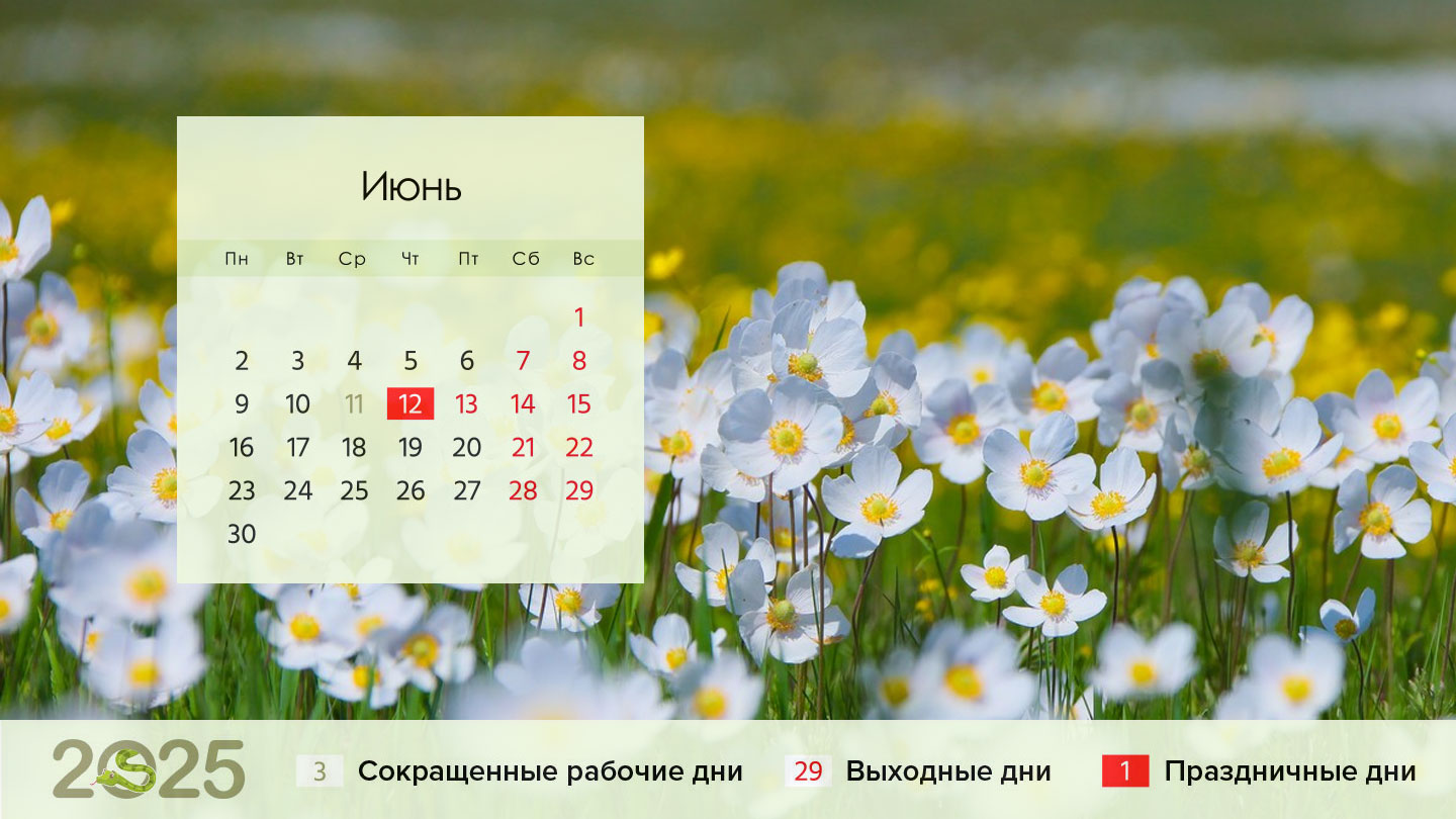 Календарь на июнь 2025 года для России