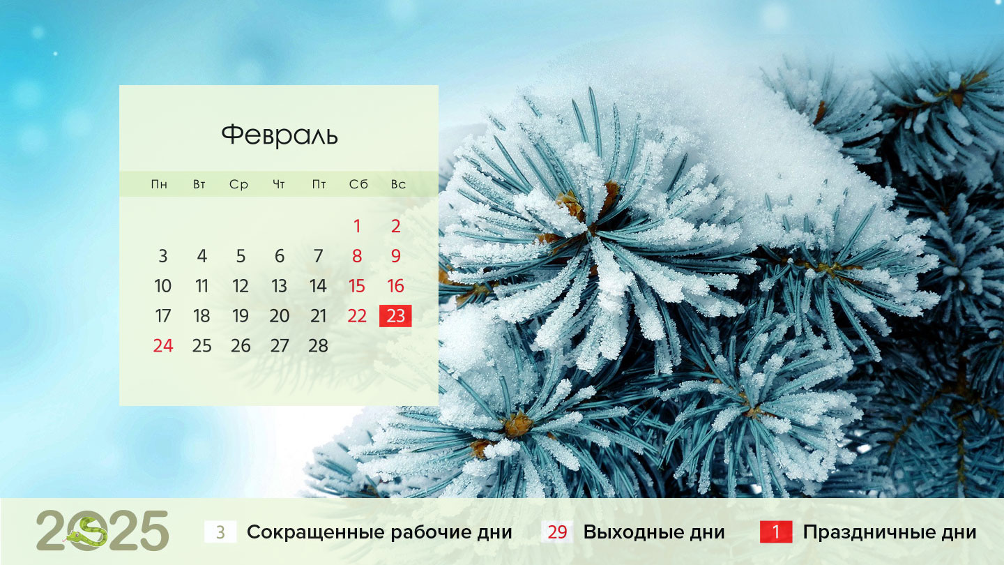 Календарь на февраль 2025 года
