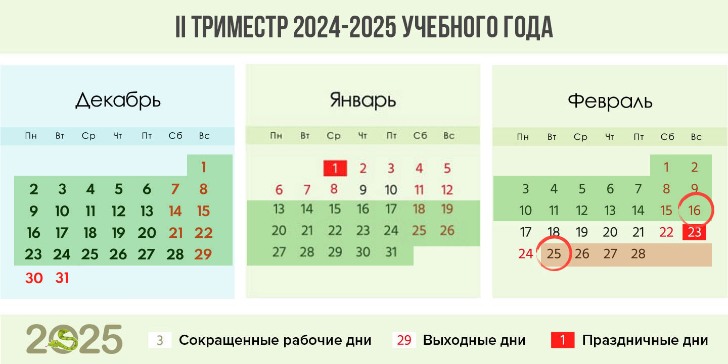 Второй триместр 2024-2025 года
