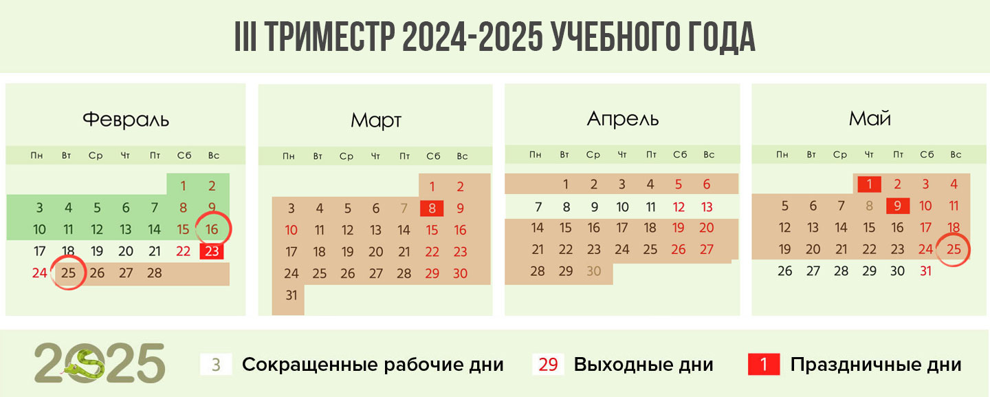 3 триместр 2024-2025 учебного года