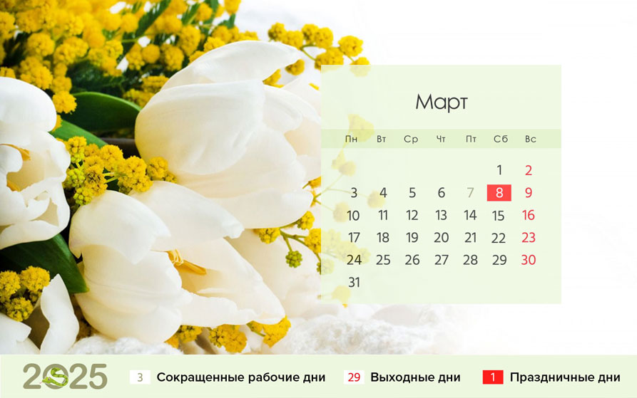 Календарь на март 2025 года для шестидневки