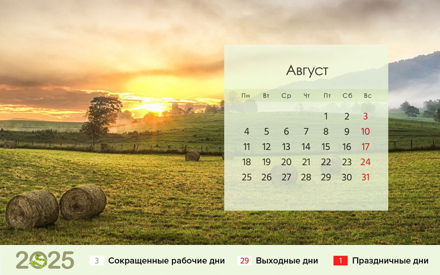 Календарь на август 2025 года для шестидневки