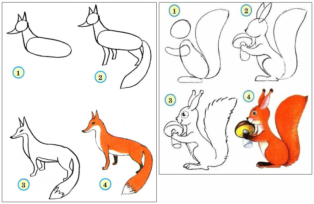 Как рисовать лесных зверей