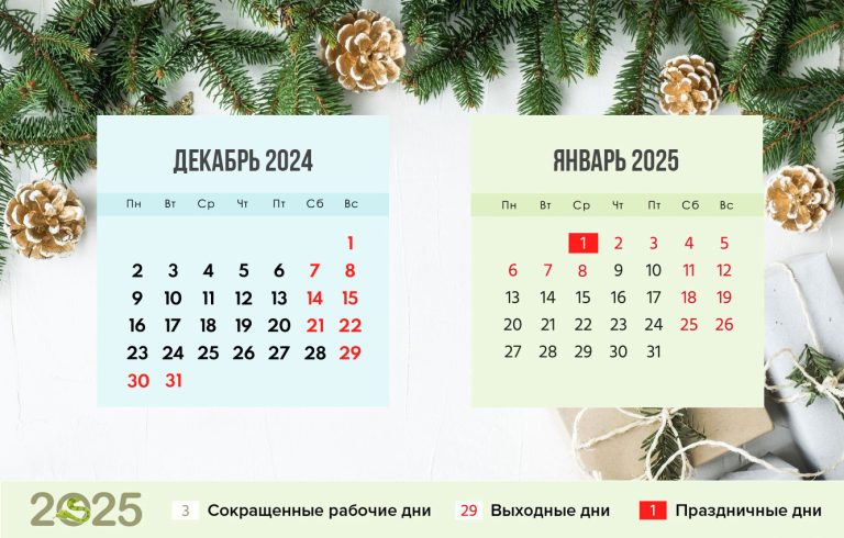 как отдыхаем в январе 2025 года