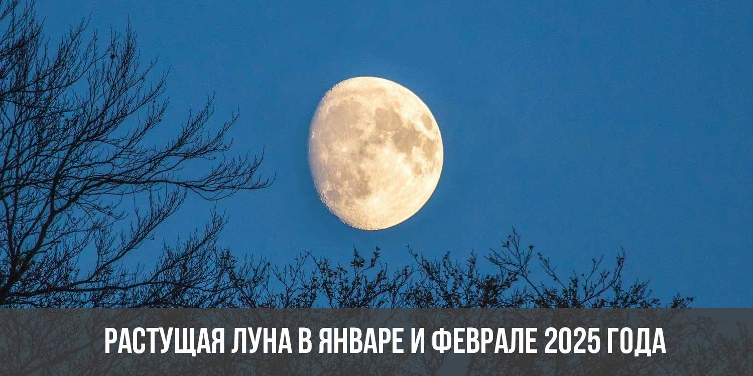 Лунный календарь стрижек на март 2024