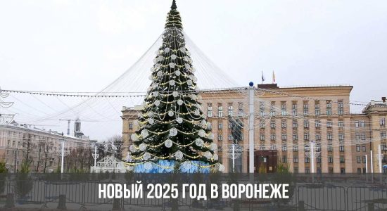 Новый 2025 год в Воронеже