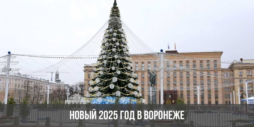 Новый 2025 год в Воронеже