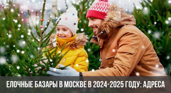 Елочные базары в Москве в 2024-2025 году: адреса