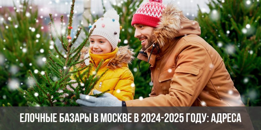 Елочные базары в Москве в 2024-2025 году: адреса