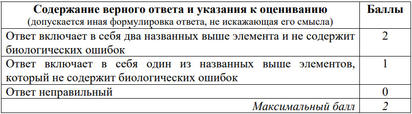 Критерии оценивания ОГЭ по биологии в 2025 году Задания №22-23