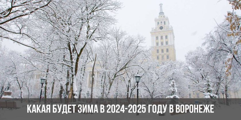 Какая будет зима в 2024-2025 году в Воронеже