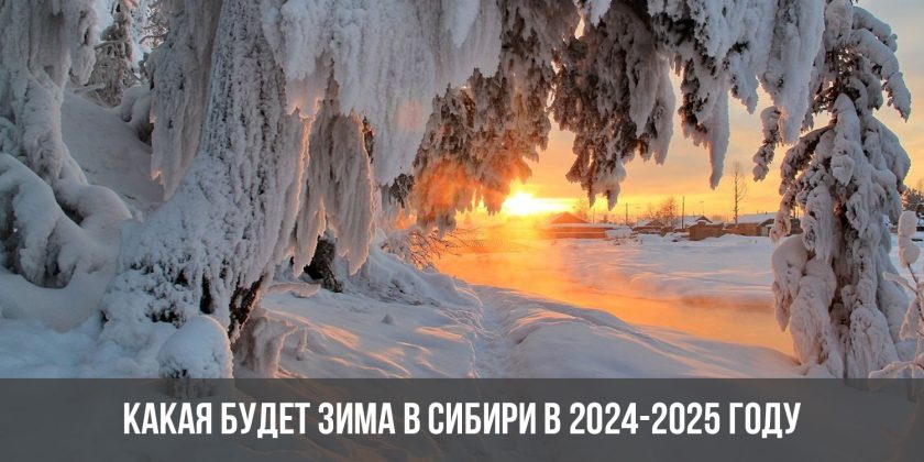 Какая будет зима в Сибири в 2024-2025 году